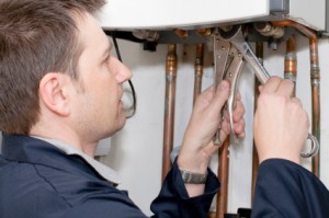 Plumber at Work